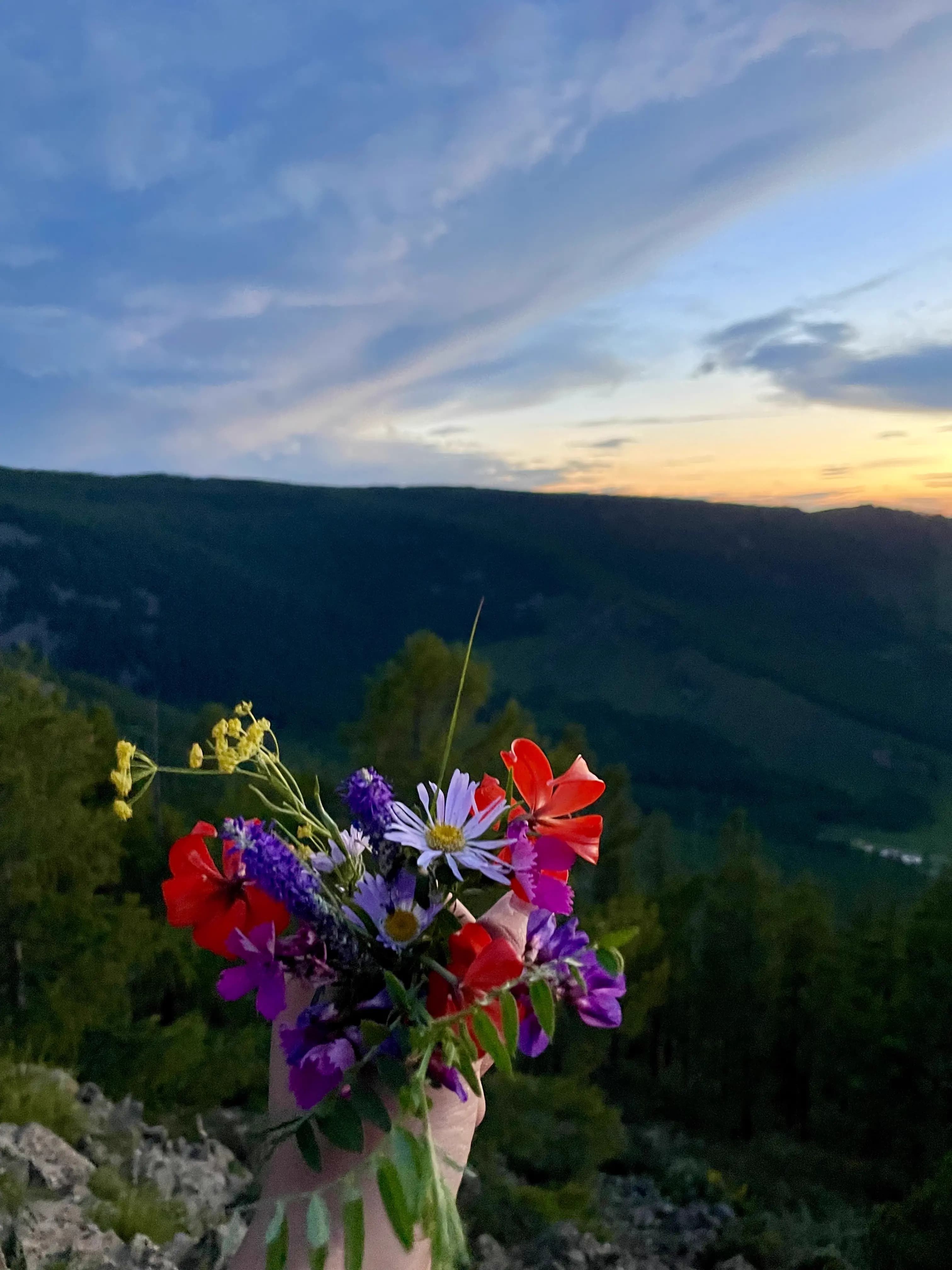 Just a flower